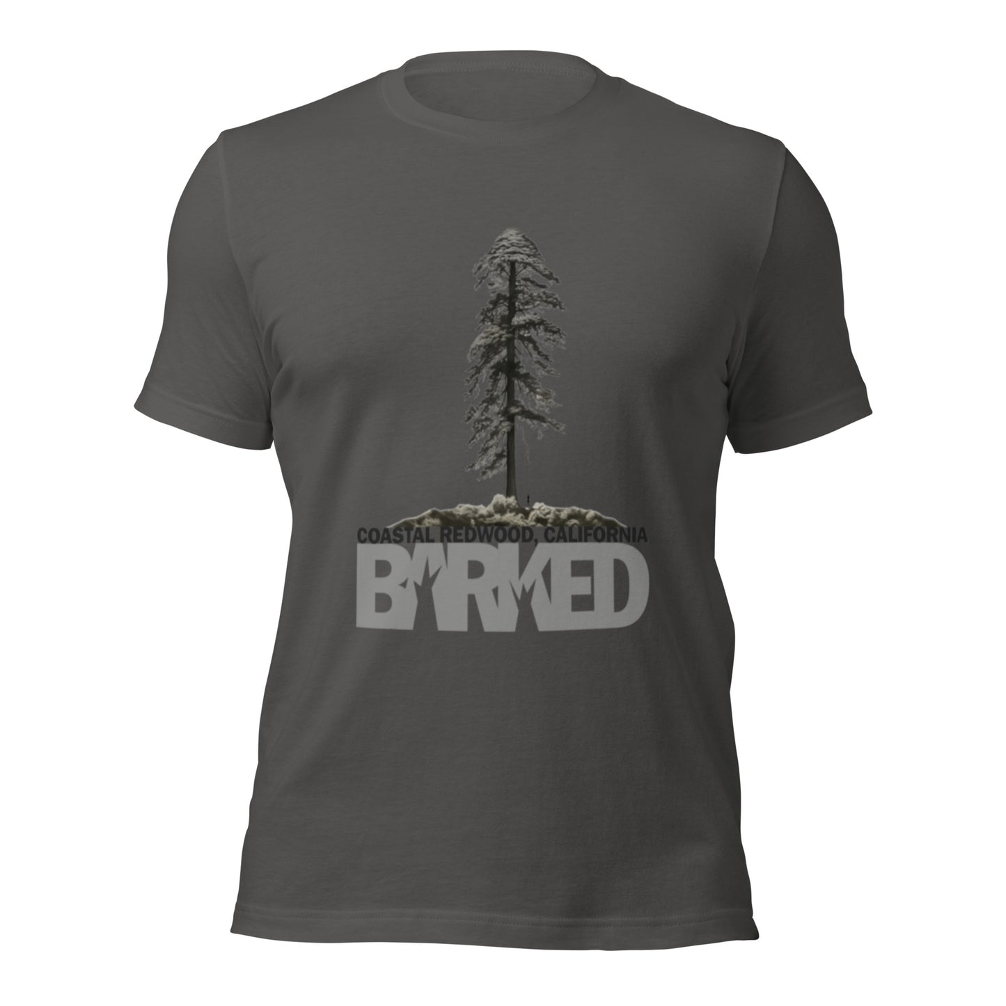 Coastal Redwood T