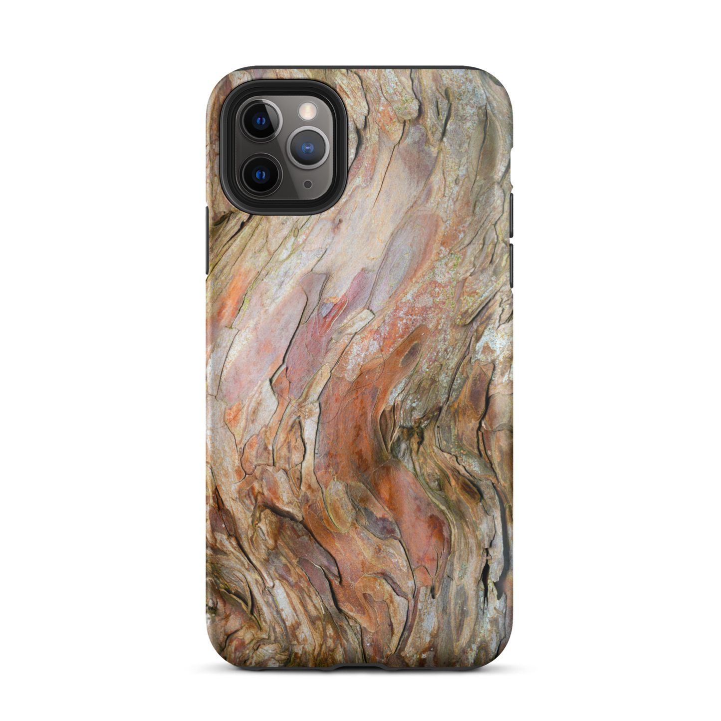 Phone Case—iPhone—Ancient Yew