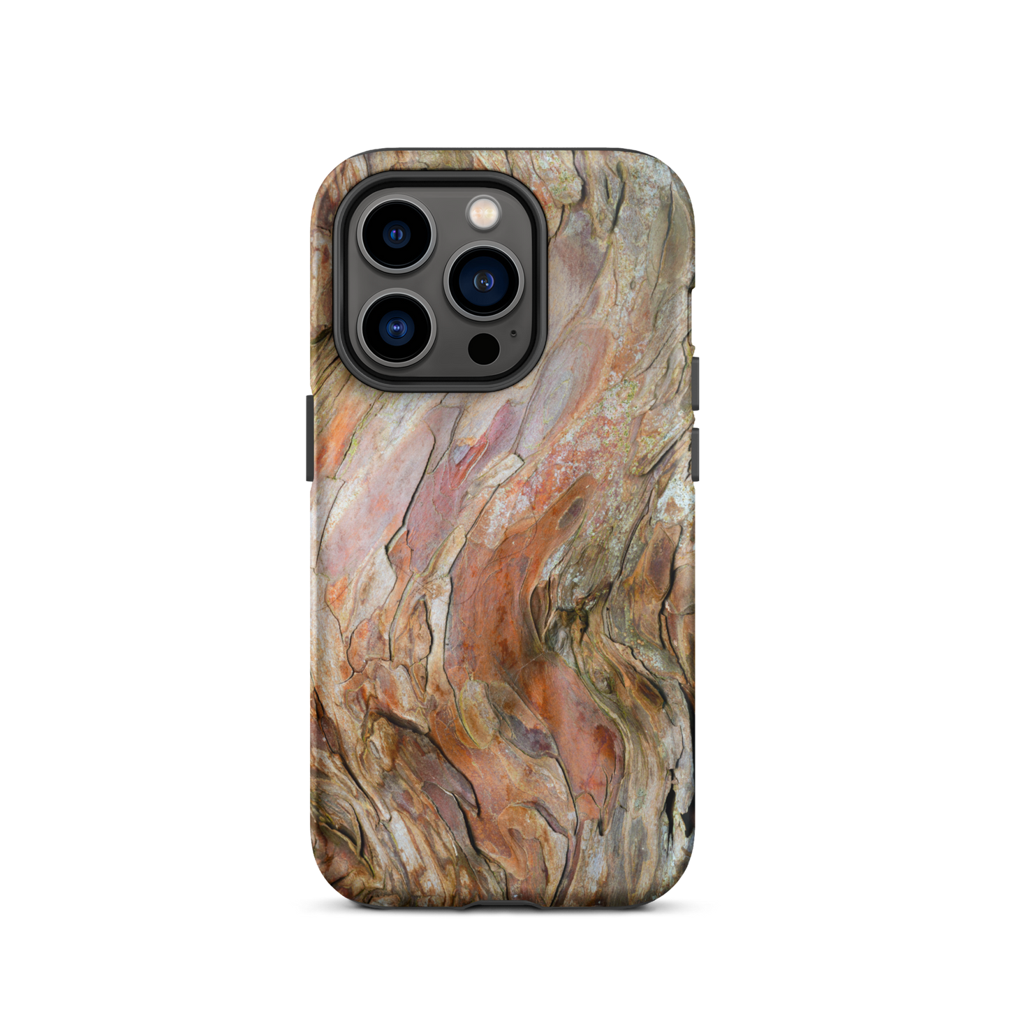 Phone Case—iPhone—Ancient Yew
