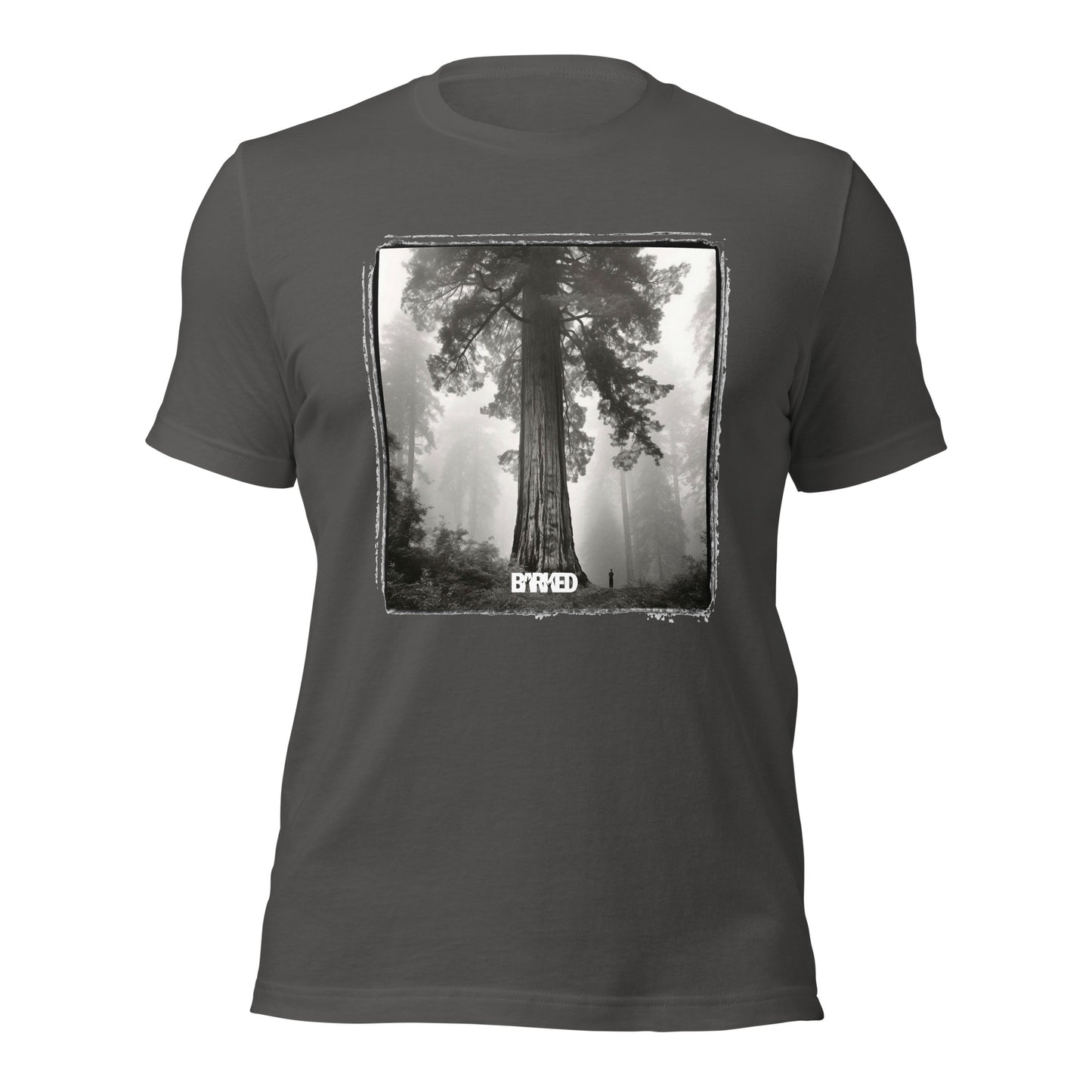 T-Shirt—Barked Giant Sequoia Mist—California