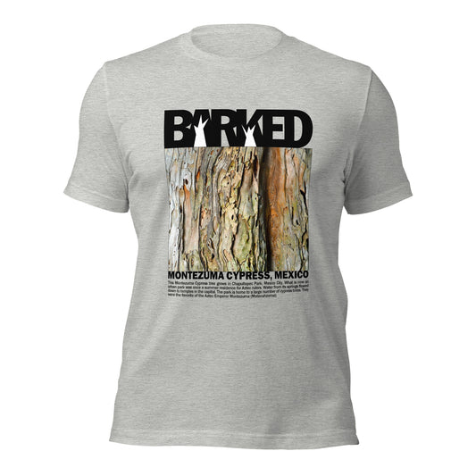 T-Shirt—Barked Montezuma Cypress—Mexico
