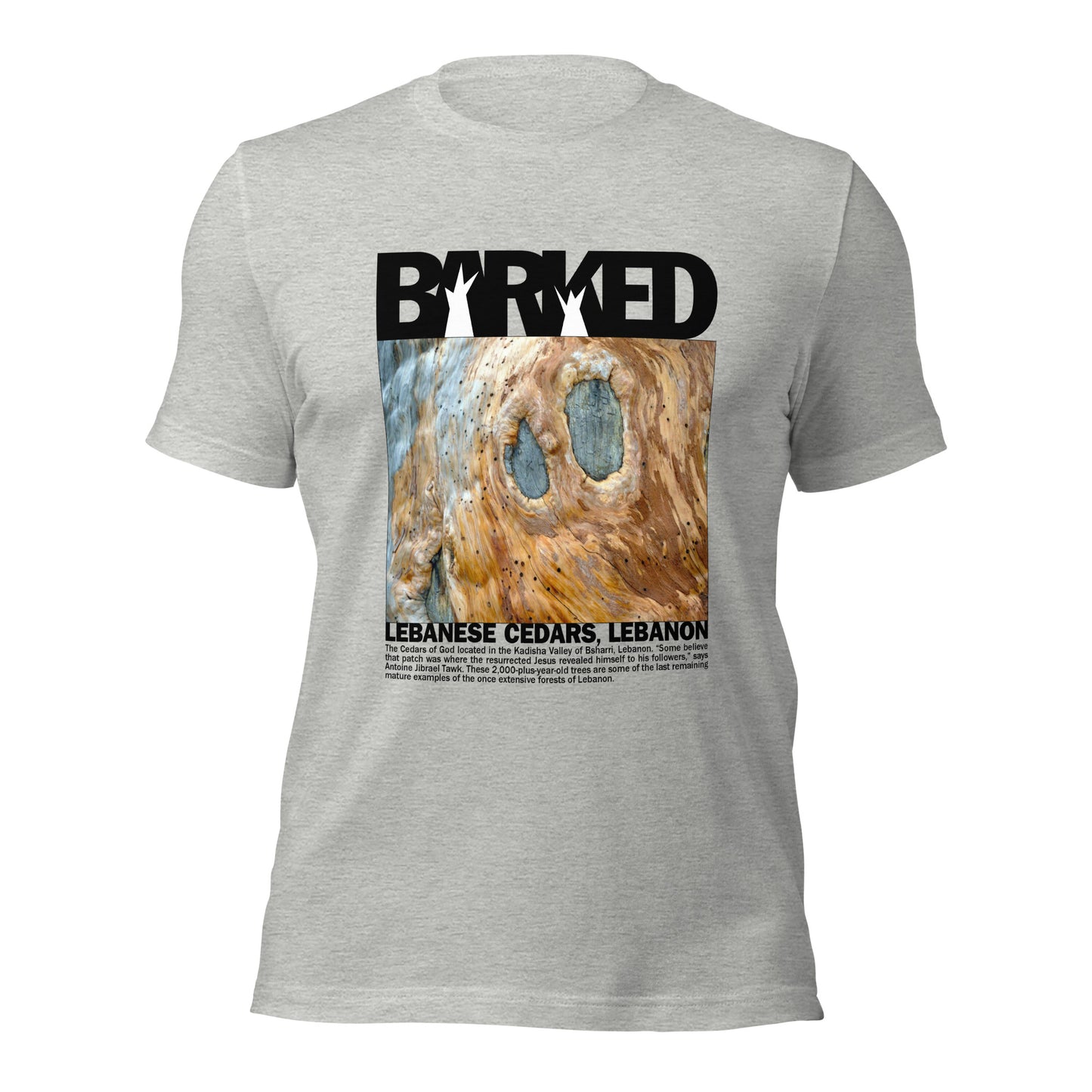 T-Shirt—Barked Lebanese Cedar—Lebanon