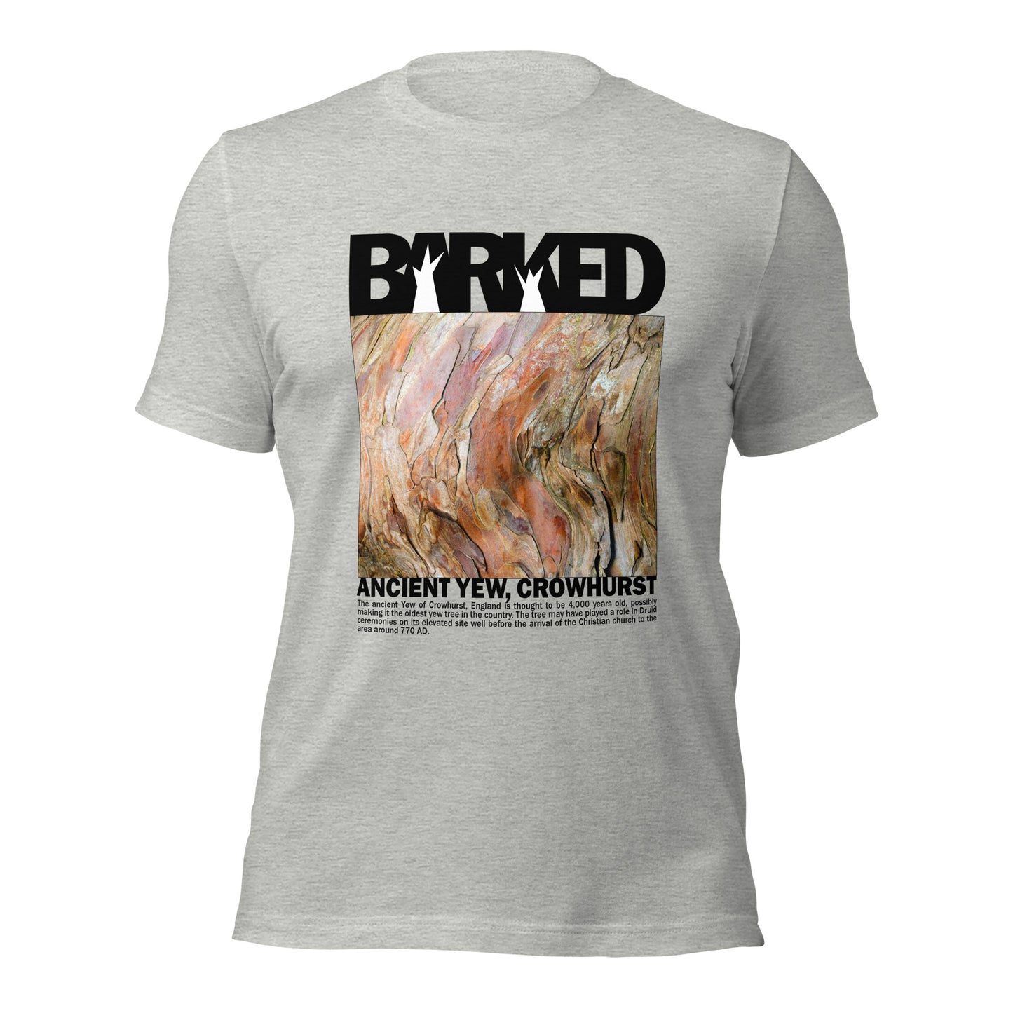 T-Shirt—Barked Ancient Yew—England